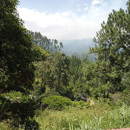 New Rose Villa Bandarawela 埃拉 外观 照片