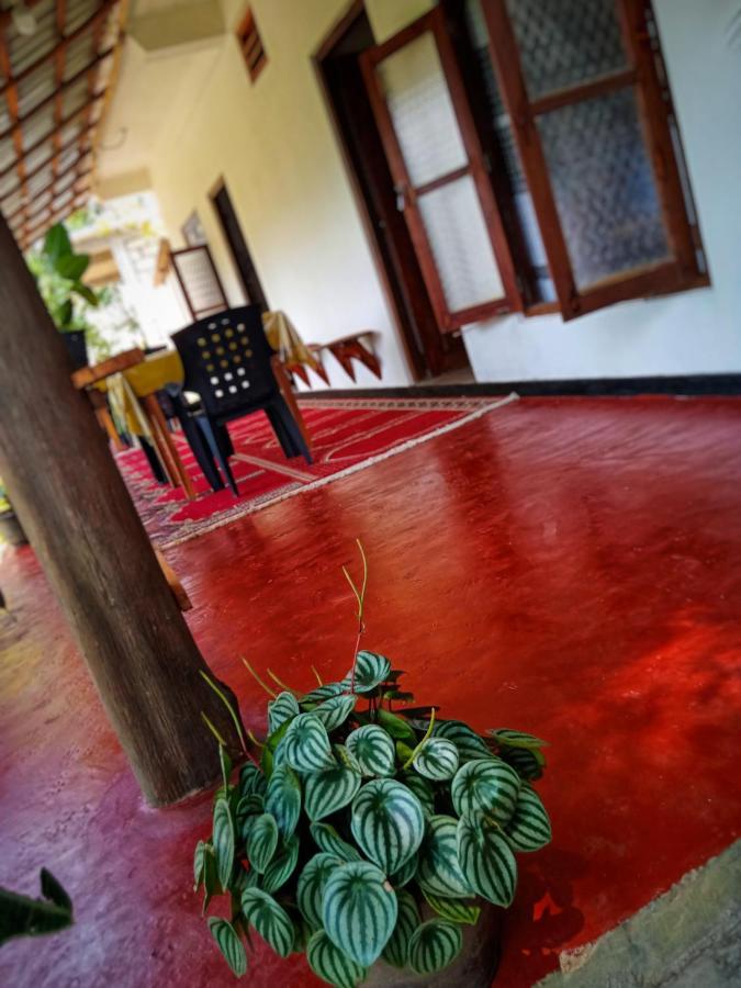 New Rose Villa Bandarawela 埃拉 外观 照片