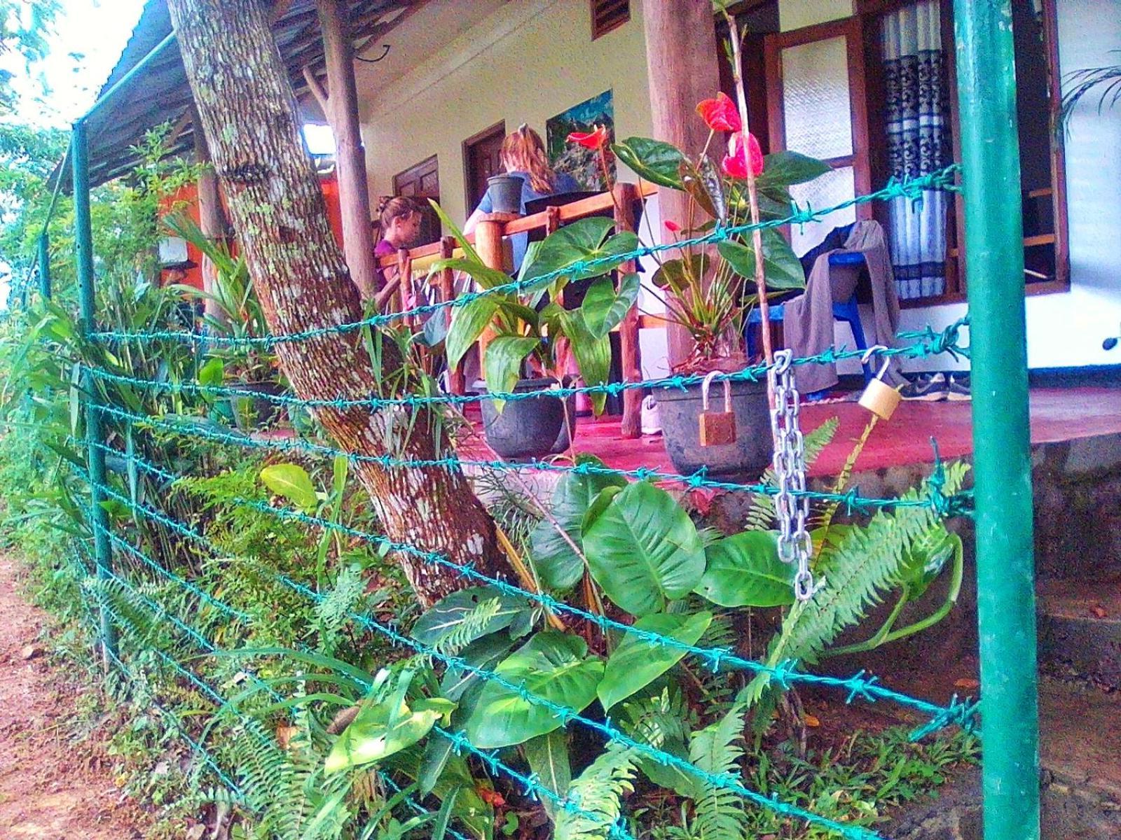 New Rose Villa Bandarawela 埃拉 外观 照片