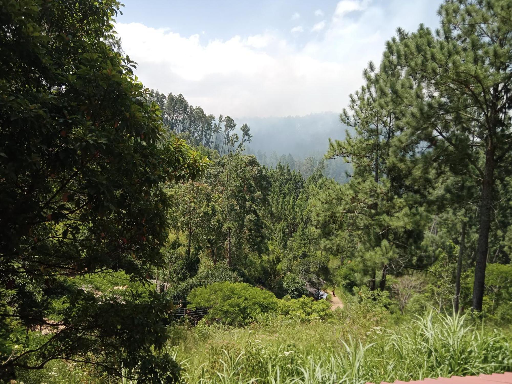 New Rose Villa Bandarawela 埃拉 外观 照片
