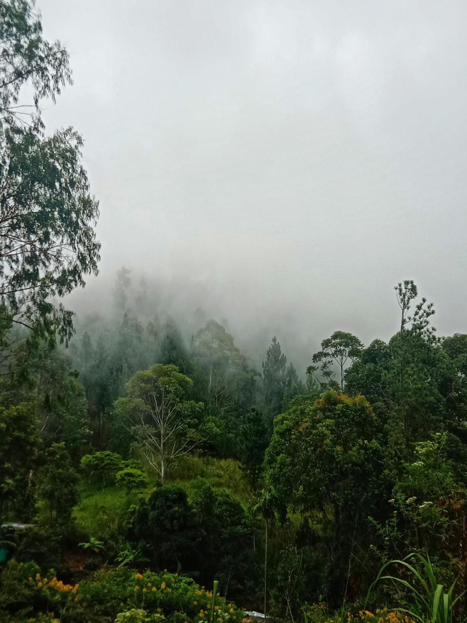 New Rose Villa Bandarawela 埃拉 外观 照片