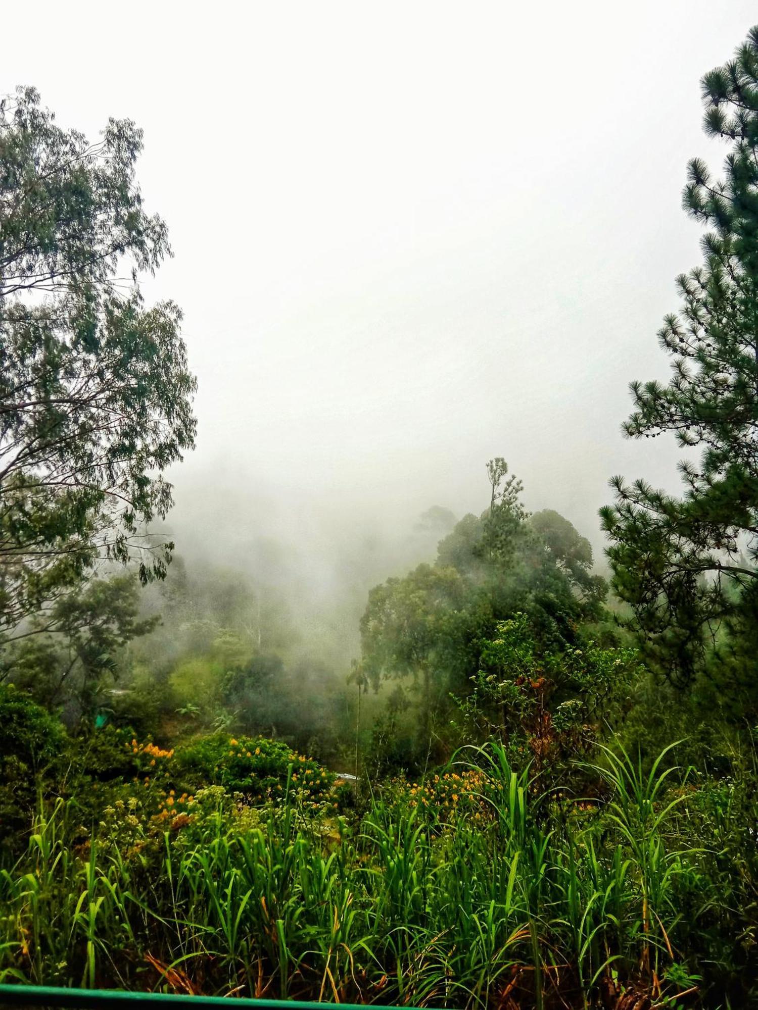 New Rose Villa Bandarawela 埃拉 外观 照片