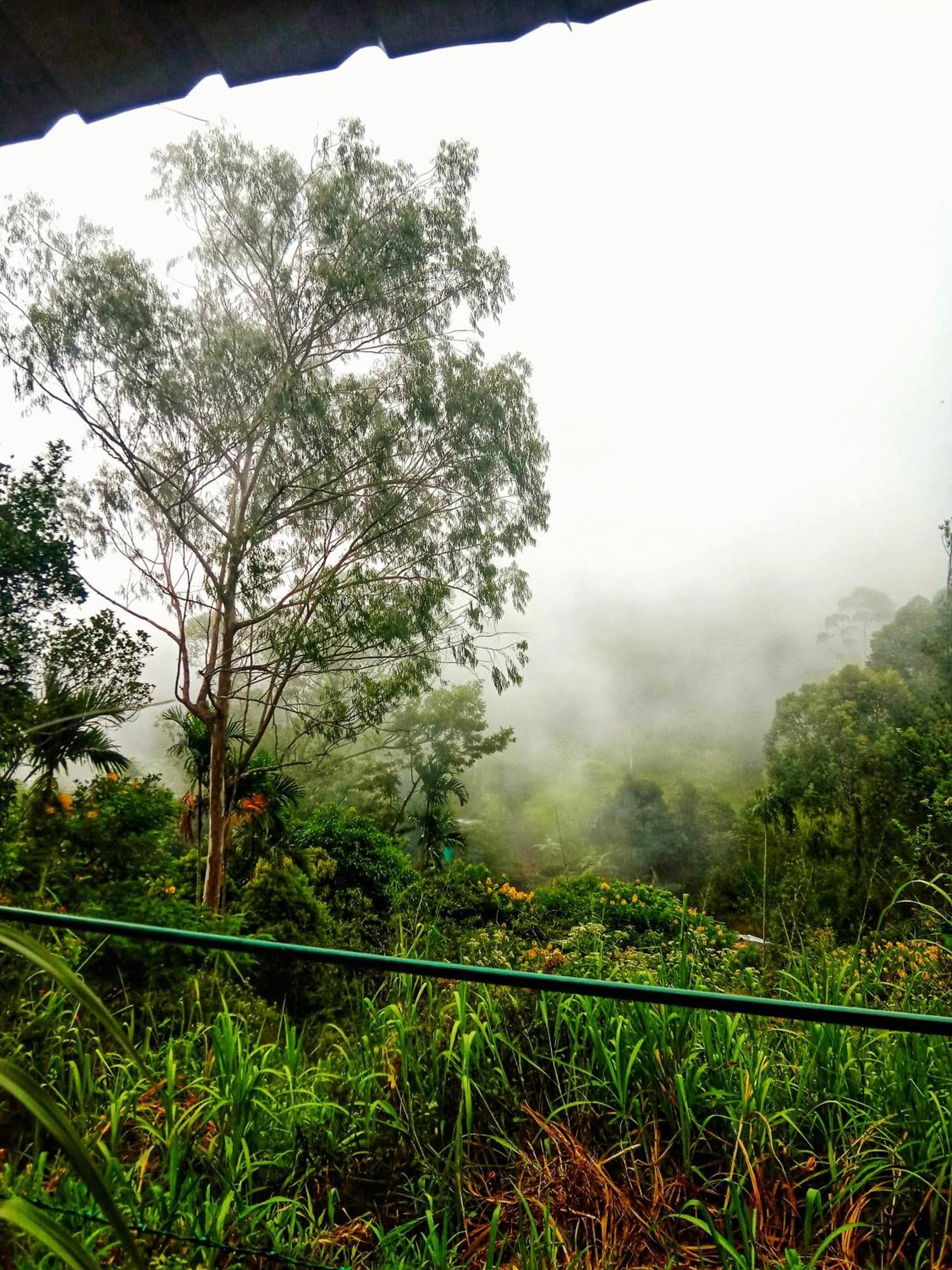 New Rose Villa Bandarawela 埃拉 外观 照片