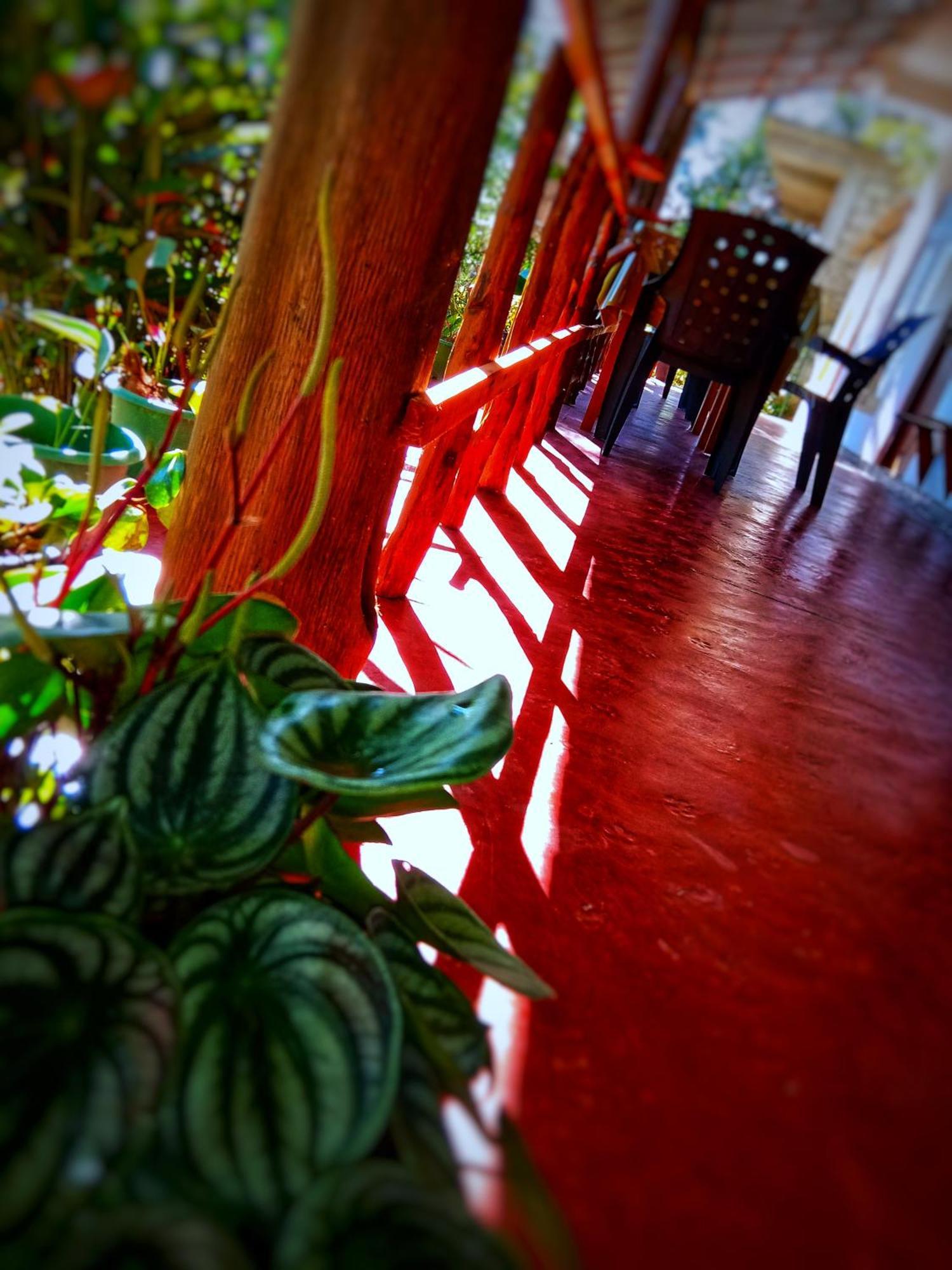 New Rose Villa Bandarawela 埃拉 外观 照片
