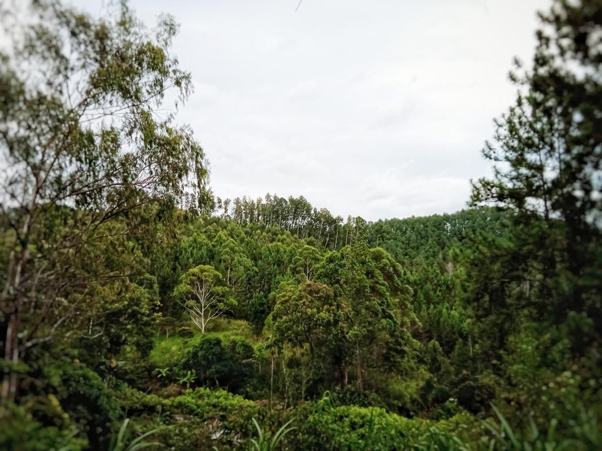 New Rose Villa Bandarawela 埃拉 外观 照片