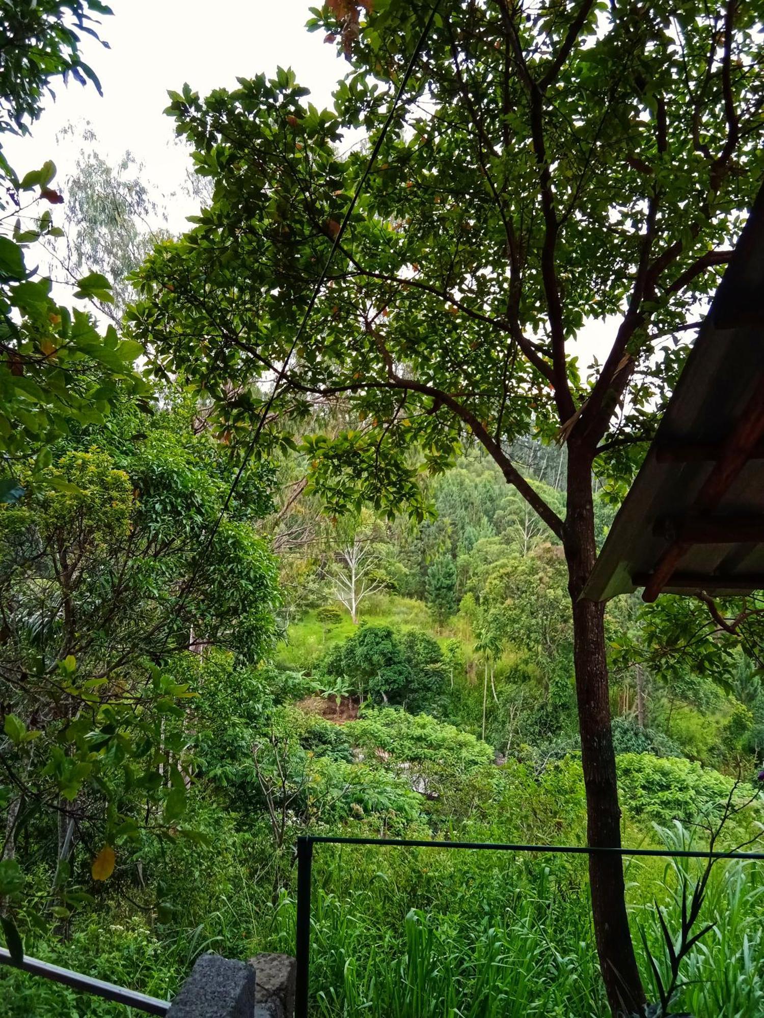 New Rose Villa Bandarawela 埃拉 外观 照片