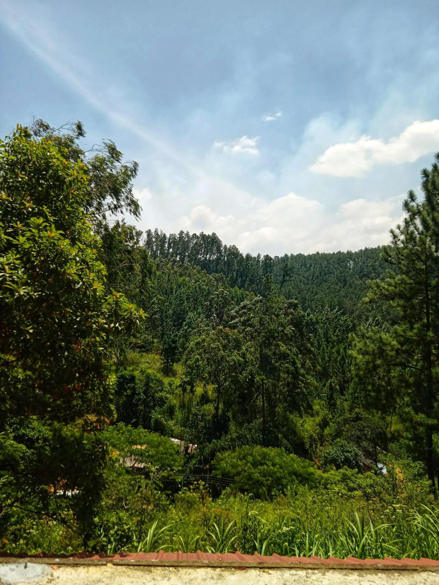 New Rose Villa Bandarawela 埃拉 外观 照片